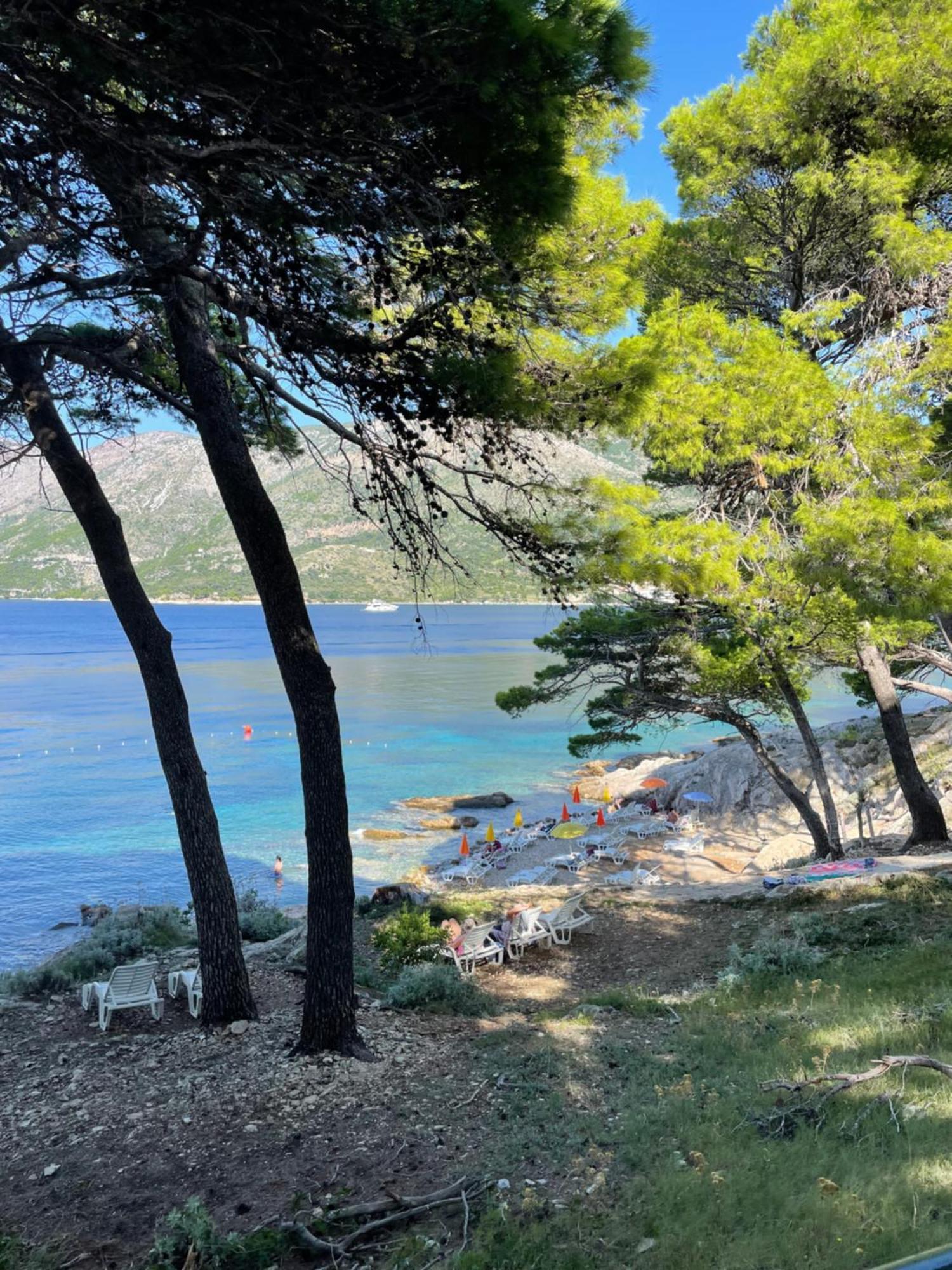 Family Ambient Apartment Cavtat Dış mekan fotoğraf