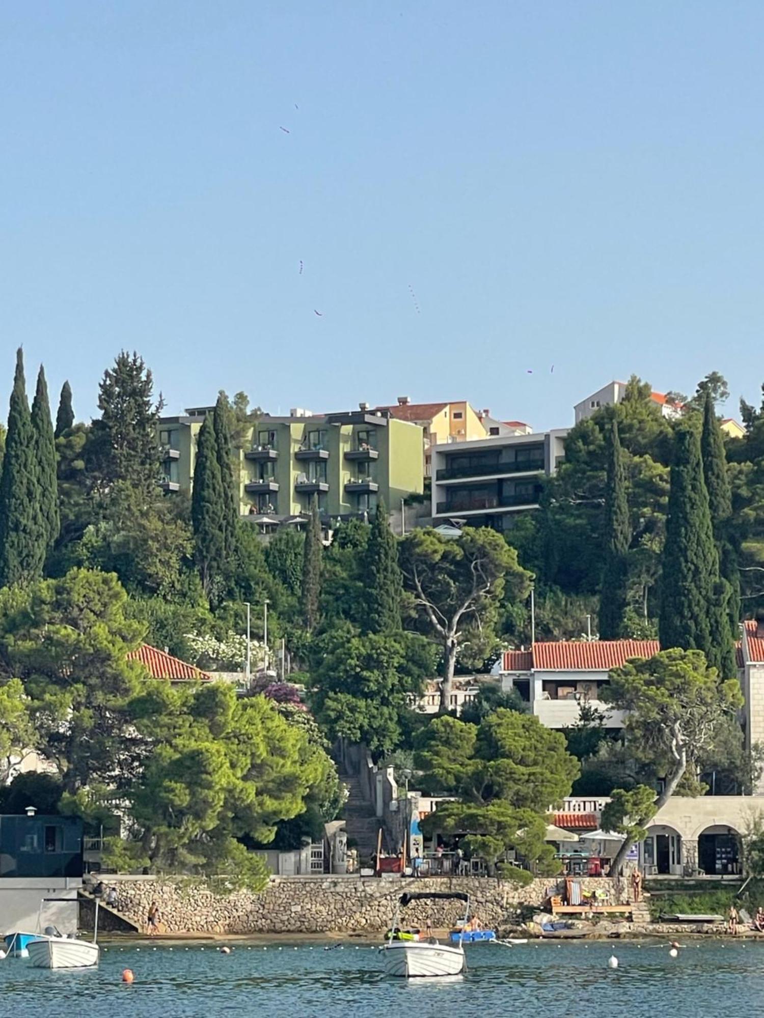 Family Ambient Apartment Cavtat Dış mekan fotoğraf